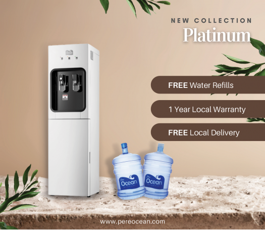 Water Dispenser Floor Stand (Hot & Cold) - Platinum